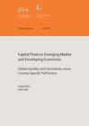 Buchcover Capital flows to emerging market and developing economies