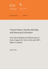 Buchcover Cultural values, popular attitudes and democracy promotion