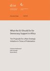Buchcover What the EU should do for democracy support in Africa