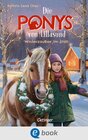 Buchcover Die Ponys von Lillasund 3. Winterzauber im Stall