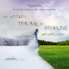 Buchcover Des Winters Träume im Frühling verwirklichen
