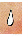 Buchcover Photographic