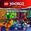 Buchcover LEGO® NINJAGO® – Meine besten Freunde