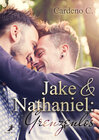 Buchcover Jake & Nathaniel: Grenzenlos