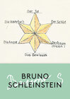 Buchcover Bruno Schleinstein