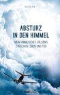 Buchcover Absturz in den Himmel