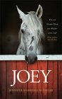 Buchcover Joey - Wie ein blindes Pferd uns Wunder sehen ließ