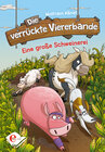 Buchcover Die verrückte Viererbande (Band 2)