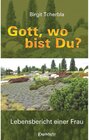 Buchcover Gott, wo bist Du?
