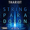 Buchcover Das String-Paradoxon
