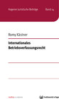 Buchcover Internationales Betriebsverfassungsrecht