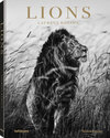 Buchcover Lions
