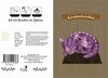Buchcover Klapppostkarte mit Saatsteckling: Lavendeldrache