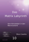 Buchcover Das Matrix Labyrinth