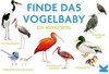 Buchcover Finde das Vogelbaby