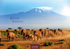 Buchcover Kenia/Serengeti 2021 S 35x24cm