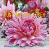 Buchcover Bunt wie das Leben