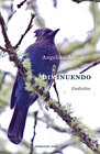 Buchcover Diminuendo