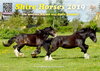 Buchcover Shire Horses Kalender 2019