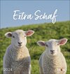 Buchcover Extra Schaf Postkartenkalender 2024. Ein kleiner Kalender zum Aufstellen und Aufhängen. Süße Schafe in allen Lebenslagen