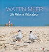 Buchcover Watt'n Meer Postkartenkalender 2025 - Die Natur im Nationalpark