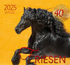 Buchcover Friesen 2025