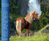 Buchcover Isländer 2026