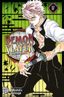 Buchcover Demon Slayer - Kimetsu no Yaiba 17