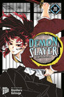 Buchcover Demon Slayer - Kimetsu no Yaiba 20