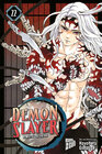 Buchcover Demon Slayer - Kimetsu no Yaiba 22