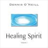 Buchcover Healing Spirit