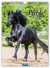 Buchcover Classickalender "Pferde" 2020
