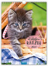 Buchcover Trötsch Classickalender Liebste Katzen 2022