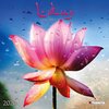 Buchcover Lotus Feng Shui 2020