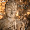Buchcover The Buddha's Smile 2020
