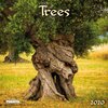 Buchcover Trees 2020