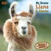 Buchcover Llama no Drama 2021