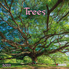 Buchcover Trees 2022
