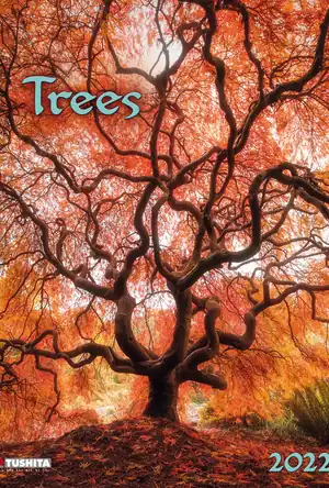 Buchcover ISBN 9783965545731