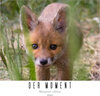 Buchcover "der moment"