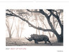 Buchcover Best of Nature 2021