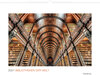 Buchcover Bibliotheken der Welt 2021