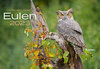 Buchcover Eulen 2023