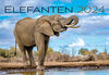 Buchcover Elefanten Kalender 2024