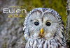 Buchcover Eulen Kalender 2024