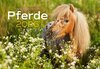 Buchcover Pferde Kalender 2026 Wandkalender