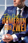 Buchcover Fake Out - Homerun für zwei