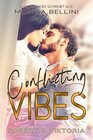 Buchcover Conflicting Vibes: Robert & Viktoria