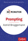 Buchcover 30 Minuten Prompting
