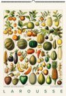 Buchcover Larousse. Wandkalender 2026